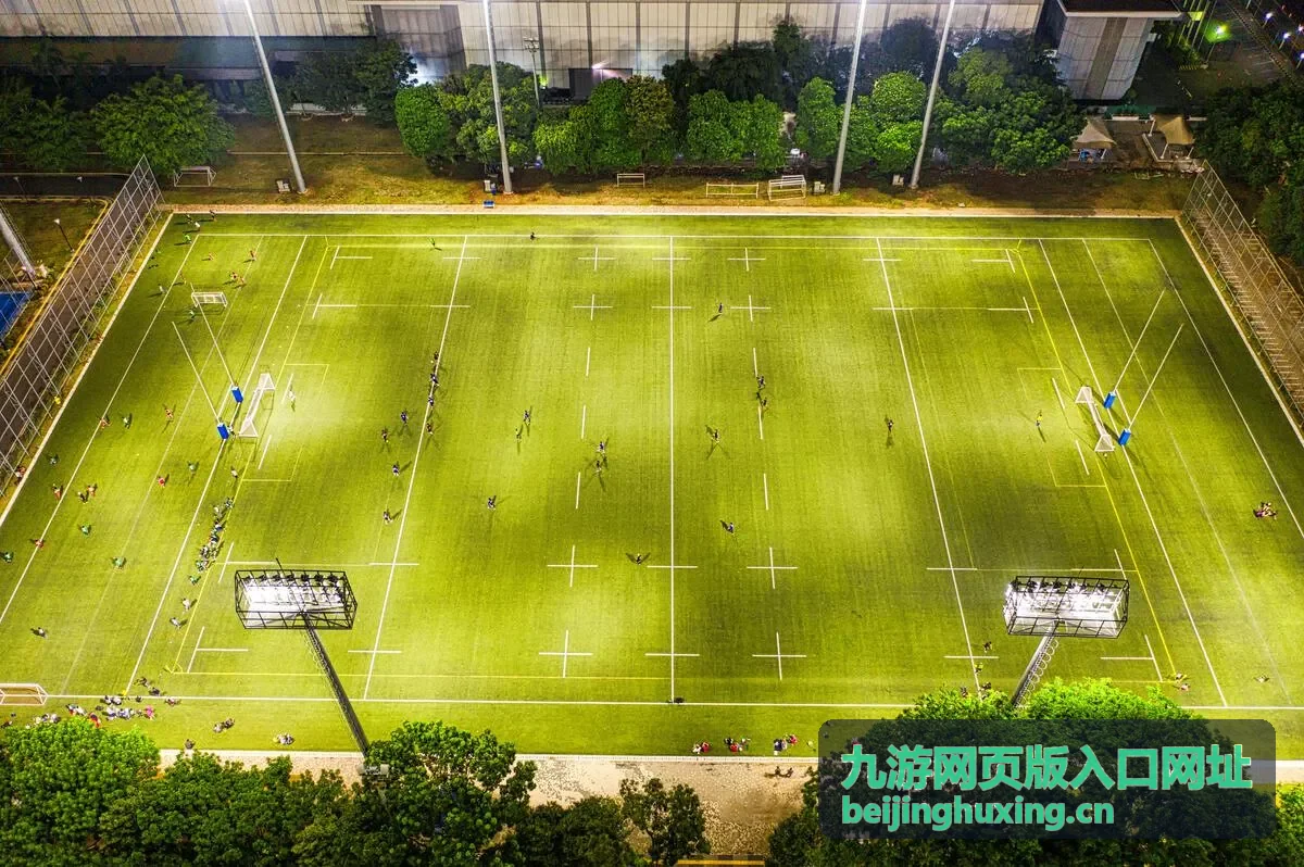 手机浏览器打开九游网页版入口网址的显示适配